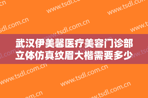 武汉伊美馨医疗美容门诊部立体仿真纹眉大楷需要多少钱?多长时间恢复?