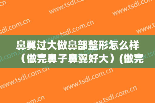 鼻翼过大做鼻部整形怎么样（做完鼻子鼻翼好大）(做完鼻子鼻翼还是大怎么办)