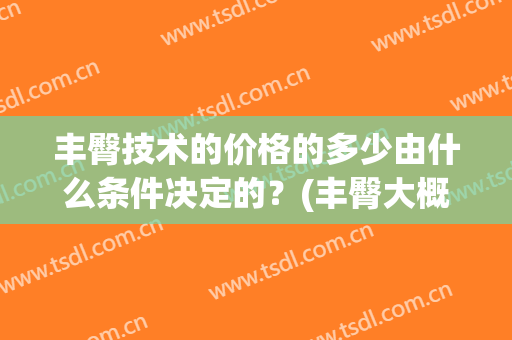 丰臀技术的价格的多少由什么条件决定的？(丰臀大概要花费多少钱)