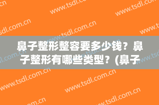 鼻子整形整容要多少钱？鼻子整形有哪些类型？(鼻子整形整容一般多少钱)
