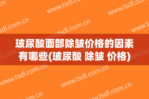 玻尿酸面部除皱价格的因素有哪些(玻尿酸 除皱 价格)
