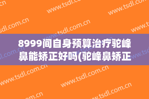 8999间自身预算治疗驼峰鼻能矫正好吗(驼峰鼻矫正手术恢复多久)