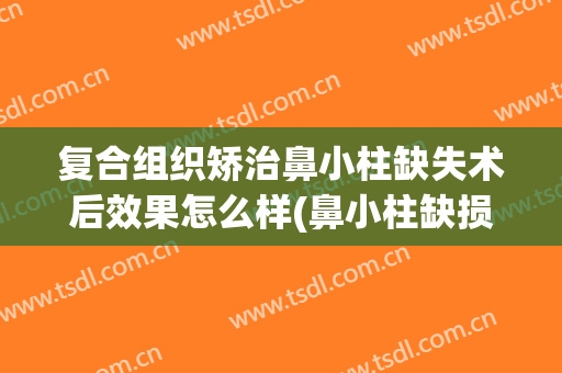 复合组织矫治鼻小柱缺失术后效果怎么样(鼻小柱缺损修复术方法)