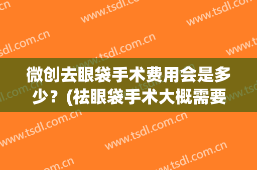 微创去眼袋手术费用会是多少？(祛眼袋手术大概需要多少费)