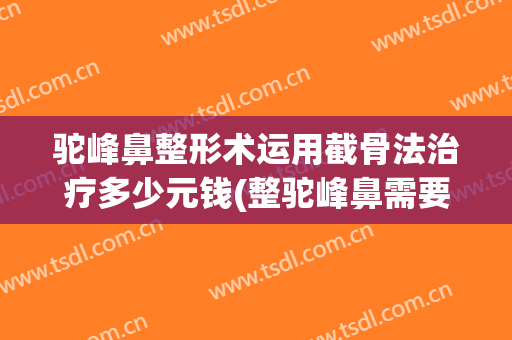 驼峰鼻整形术运用截骨法治疗多少元钱(整驼峰鼻需要多少钱)