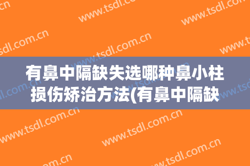 有鼻中隔缺失选哪种鼻小柱损伤矫治方法(有鼻中隔缺失选哪种鼻小柱损伤矫治方法呢)