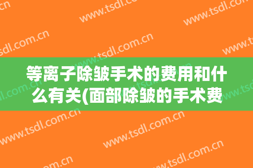 等离子除皱手术的费用和什么有关(面部除皱的手术费用)