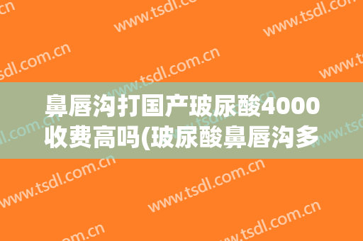 鼻唇沟打国产玻尿酸4000收费高吗(玻尿酸鼻唇沟多少钱)