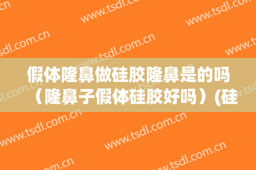 假体隆鼻做硅胶隆鼻是的吗（隆鼻子假体硅胶好吗）(硅胶假体隆鼻怎么样)