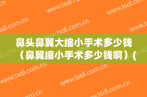 鼻头鼻翼大缩小手术多少钱（鼻翼缩小手术多少钱啊）(做鼻头和鼻翼缩小手术多少钱)