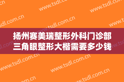 扬州赛美瑞整形外科门诊部三角眼整形大楷需要多少钱?靠谱吗?(扬州苏北整形美容医院正规吗?)