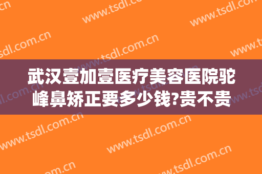 武汉壹加壹医疗美容医院驼峰鼻矫正要多少钱?贵不贵?(武汉壹加医疗美容医院双眼皮)