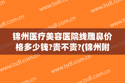 锦州医疗美容医院线雕鼻价格多少钱?贵不贵?(锦州附属医院整形美容科微整形价格)