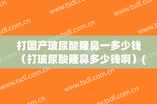 打国产玻尿酸隆鼻一多少钱（打玻尿酸隆鼻多少钱啊）(一般打玻尿酸隆鼻多少钱)