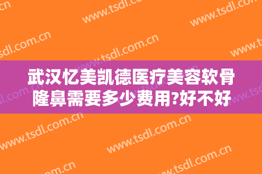 武汉忆美凯德医疗美容软骨隆鼻需要多少费用?好不好?