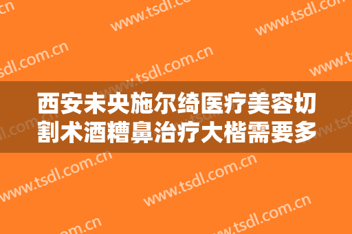 西安未央施尔绮医疗美容切割术酒糟鼻治疗大楷需要多少费用?贵不贵?