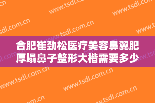 合肥崔劲松医疗美容鼻翼肥厚塌鼻子整形大楷需要多少钱?多长时间恢复?