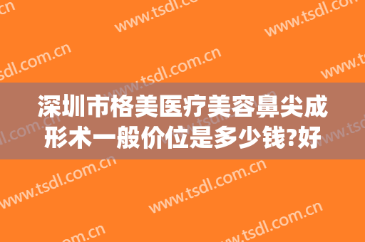 深圳市格美医疗美容鼻尖成形术一般价位是多少钱?好不好?(医美整形价格)