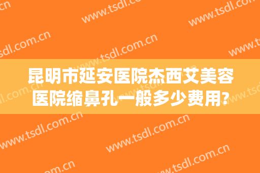 昆明市延安医院杰西艾美容医院缩鼻孔一般多少费用?贵不贵?(昆明延安杰西艾美容医院是公立的吗)