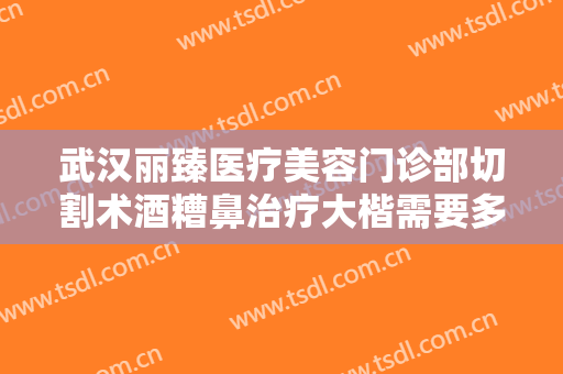 武汉丽臻医疗美容门诊部切割术酒糟鼻治疗大楷需要多少钱?好不好?