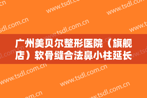 广州美贝尔整形医院（旗舰店）软骨缝合法鼻小柱延长术一般价位是多少钱?贵不贵?
