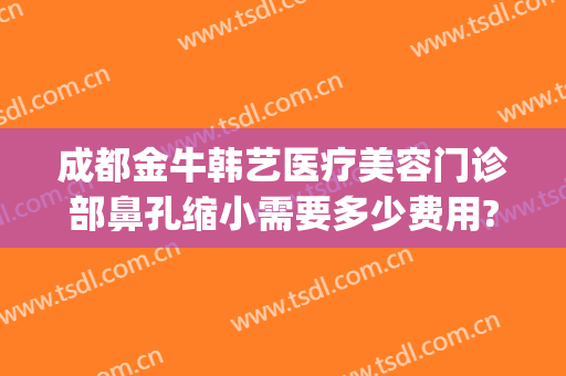 成都金牛韩艺医疗美容门诊部鼻孔缩小需要多少费用?效果怎么样?(成都韩艺整形医院)