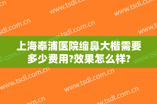 上海奉浦医院缩鼻大楷需要多少费用?效果怎么样?