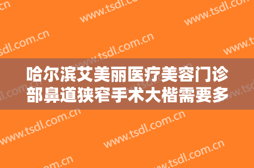 哈尔滨艾美丽医疗美容门诊部鼻道狭窄手术大楷需要多少钱?效果怎么样?
