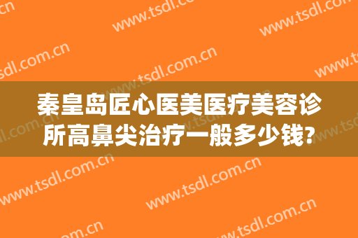秦皇岛匠心医美医疗美容诊所高鼻尖治疗一般多少钱?好不好?(秦皇岛哪家医院美容科好)