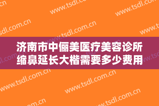 济南市中俪美医疗美容诊所缩鼻延长大楷需要多少费用?贵不贵?