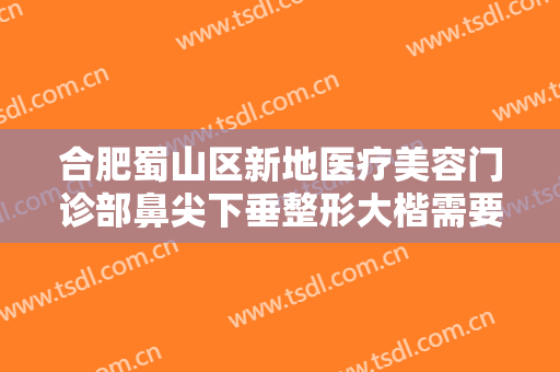 合肥蜀山区新地医疗美容门诊部鼻尖下垂整形大楷需要多少费用?可靠吗?