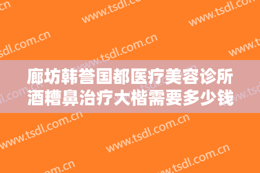 廊坊韩誉国都医疗美容诊所酒糟鼻治疗大楷需要多少钱?贵不贵?