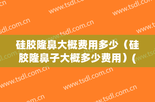 硅胶隆鼻大概费用多少（硅胶隆鼻子大概多少费用）(隆鼻硅胶成本价格是多少)