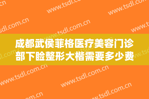 成都武侯菲格医疗美容门诊部下睑整形大楷需要多少费用?靠谱吗?(成都菲格整形美容医院)
