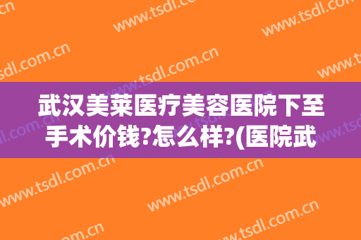 武汉美莱医疗美容医院下至手术价钱?怎么样?(医院武汉美莱医疗美容医院)