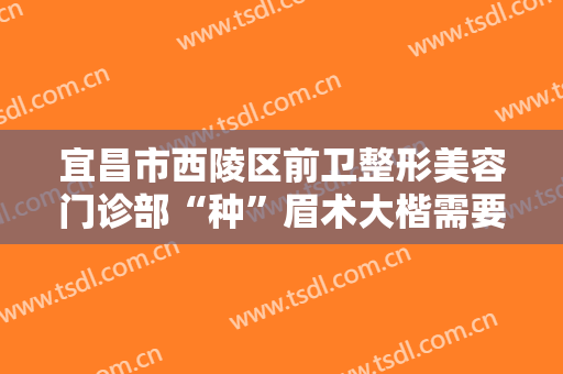 宜昌市西陵区前卫整形美容门诊部“种”眉术大楷需要多少费用?好不好?
