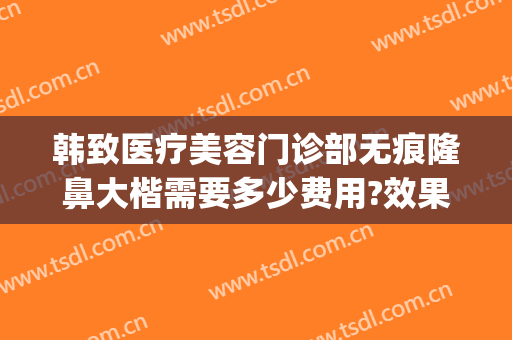 韩致医疗美容门诊部无痕隆鼻大楷需要多少费用?效果怎么样?(鼻部美容整形费用)