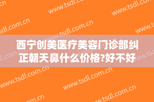 西宁创美医疗美容门诊部纠正朝天鼻什么价格?好不好?(朝天鼻矫正手术效果图)