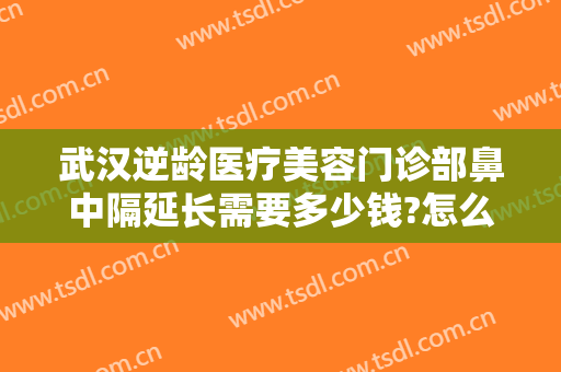 武汉逆龄医疗美容门诊部鼻中隔延长需要多少钱?怎么样?
