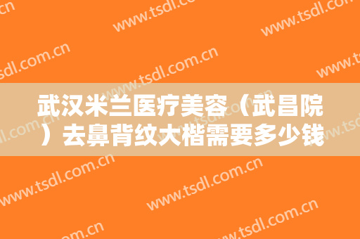 武汉米兰医疗美容（武昌院）去鼻背纹大楷需要多少钱?靠谱吗?