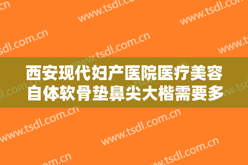西安现代妇产医院医疗美容自体软骨垫鼻尖大楷需要多少费用?好不好?