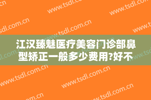 江汉臻魅医疗美容门诊部鼻型矫正一般多少费用?好不好?