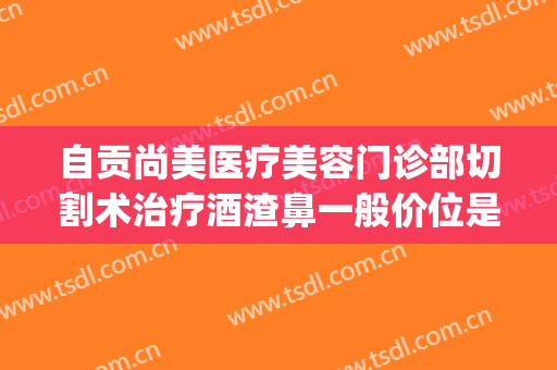 自贡尚美医疗美容门诊部切割术治疗酒渣鼻一般价位是多少?好不好?(自贡尚美整形美容)