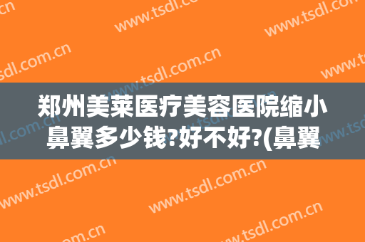郑州美莱医疗美容医院缩小鼻翼多少钱?好不好?(鼻翼缩小整形术多少钱)
