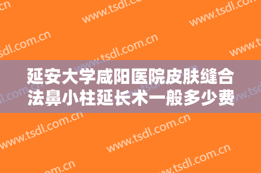 延安大学咸阳医院皮肤缝合法鼻小柱延长术一般多少费用?怎么样?