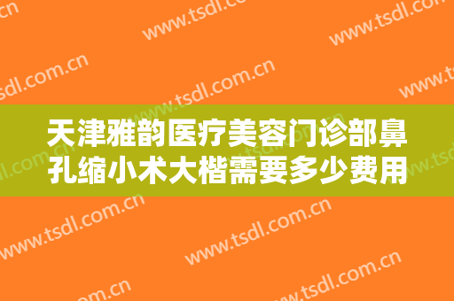 天津雅韵医疗美容门诊部鼻孔缩小术大楷需要多少费用?贵不贵?