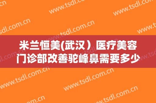 米兰恒美(武汉）医疗美容门诊部改善驼峰鼻需要多少费用?贵不贵?