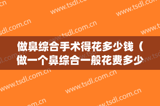 做鼻综合手术得花多少钱（做一个鼻综合一般花费多少钱啊）(做个鼻综合需要多少钱)