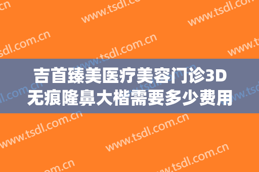 吉首臻美医疗美容门诊3D无痕隆鼻大楷需要多少费用?靠谱吗?(吉首臻美整形医院怎么样)