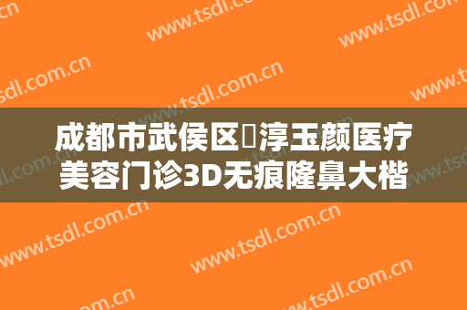 成都市武侯区渼淳玉颜医疗美容门诊3D无痕隆鼻大楷需要多少钱?怎么样?